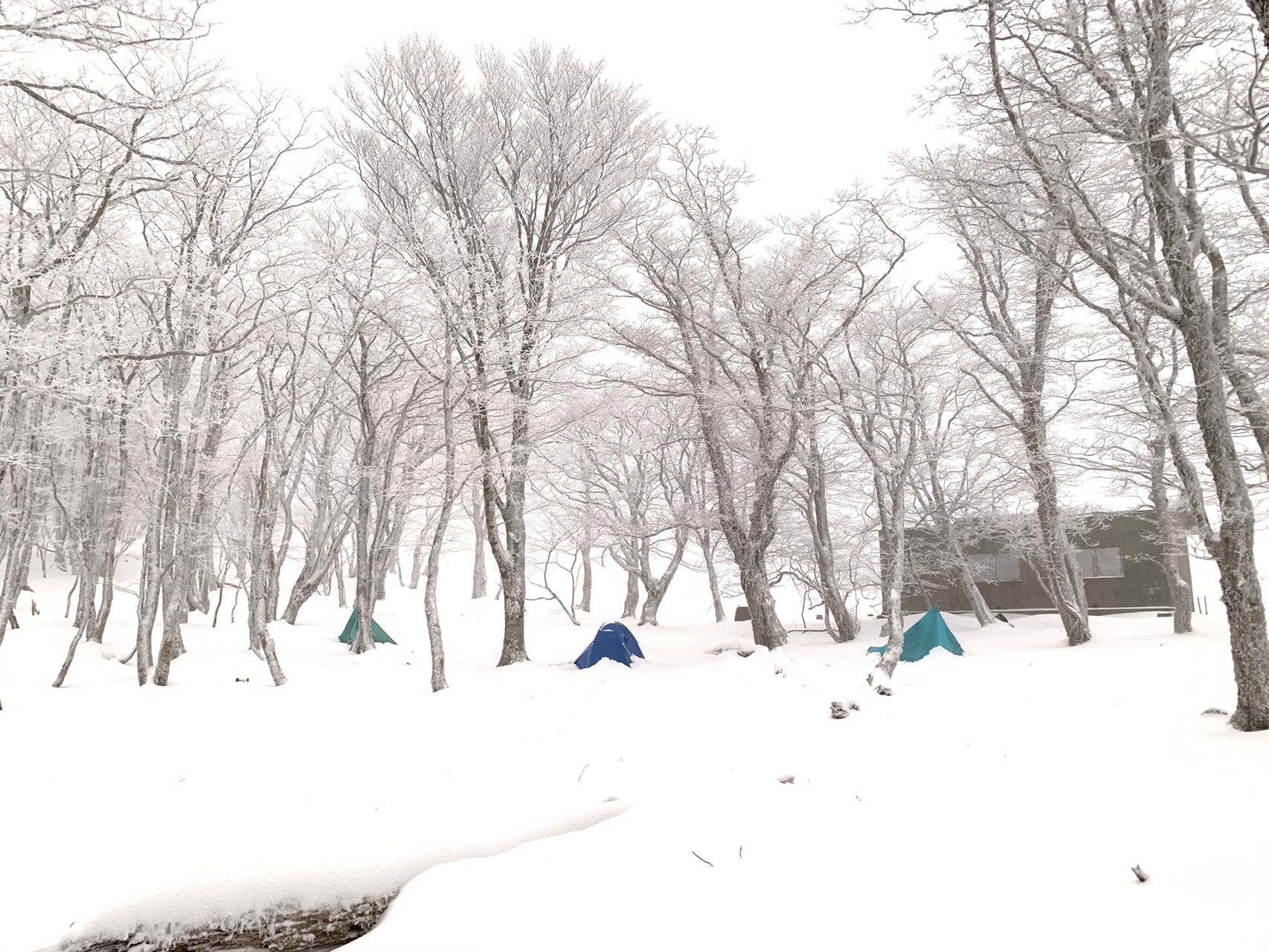 初めての雪山テント泊は明神平 Rikoさんの桧塚奥峰 明神岳 薊岳の活動データ Yamap ヤマップ