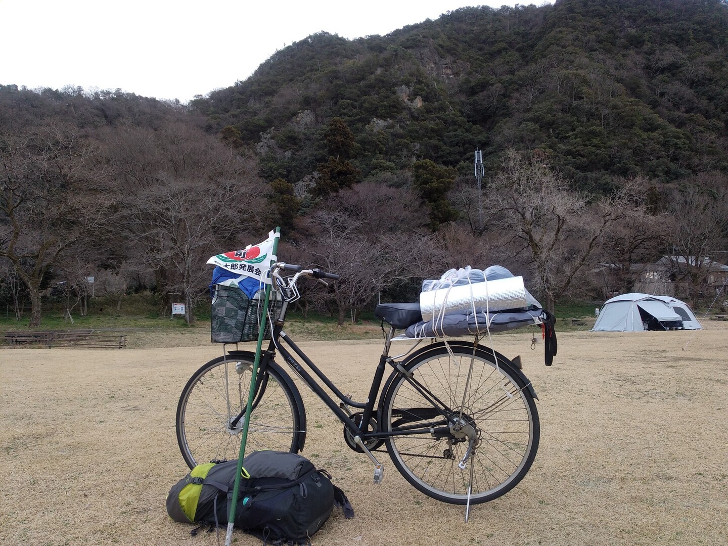 桃太郎神社 桃太郎 自転車 人気 ジャージ