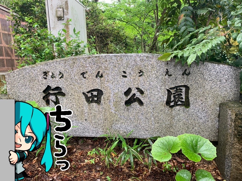 行田公園 05 16 タカシィさんの富山市の活動日記 Yamap ヤマップ