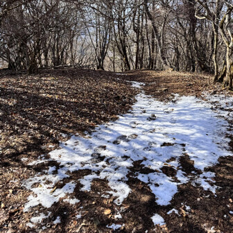 黒岳山頂を後に、ツインテラスへ向かいます
…この直後、枯葉&ぬかるみの下り坂で滑って尻もちついたのは内緒🤫 (泥汚れでバレバレ