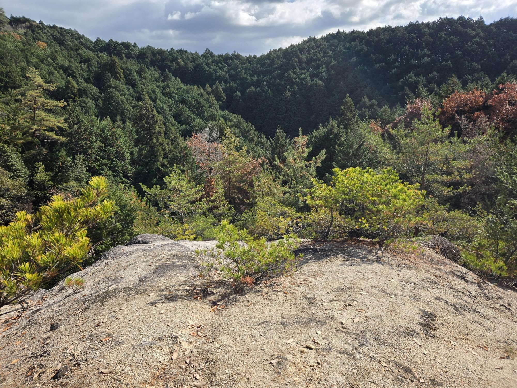 三輪山・巻向山・龍王山 ここは陽当たり良く風が少なく休憩には最高の場所です❗。