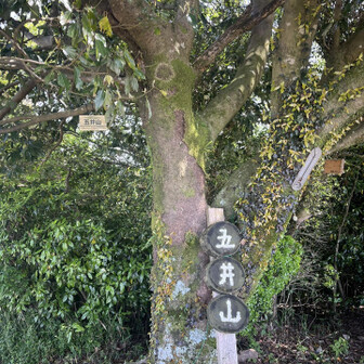 五井山・宮路山・御堂山 結構な急登で汗だくになりながら到着