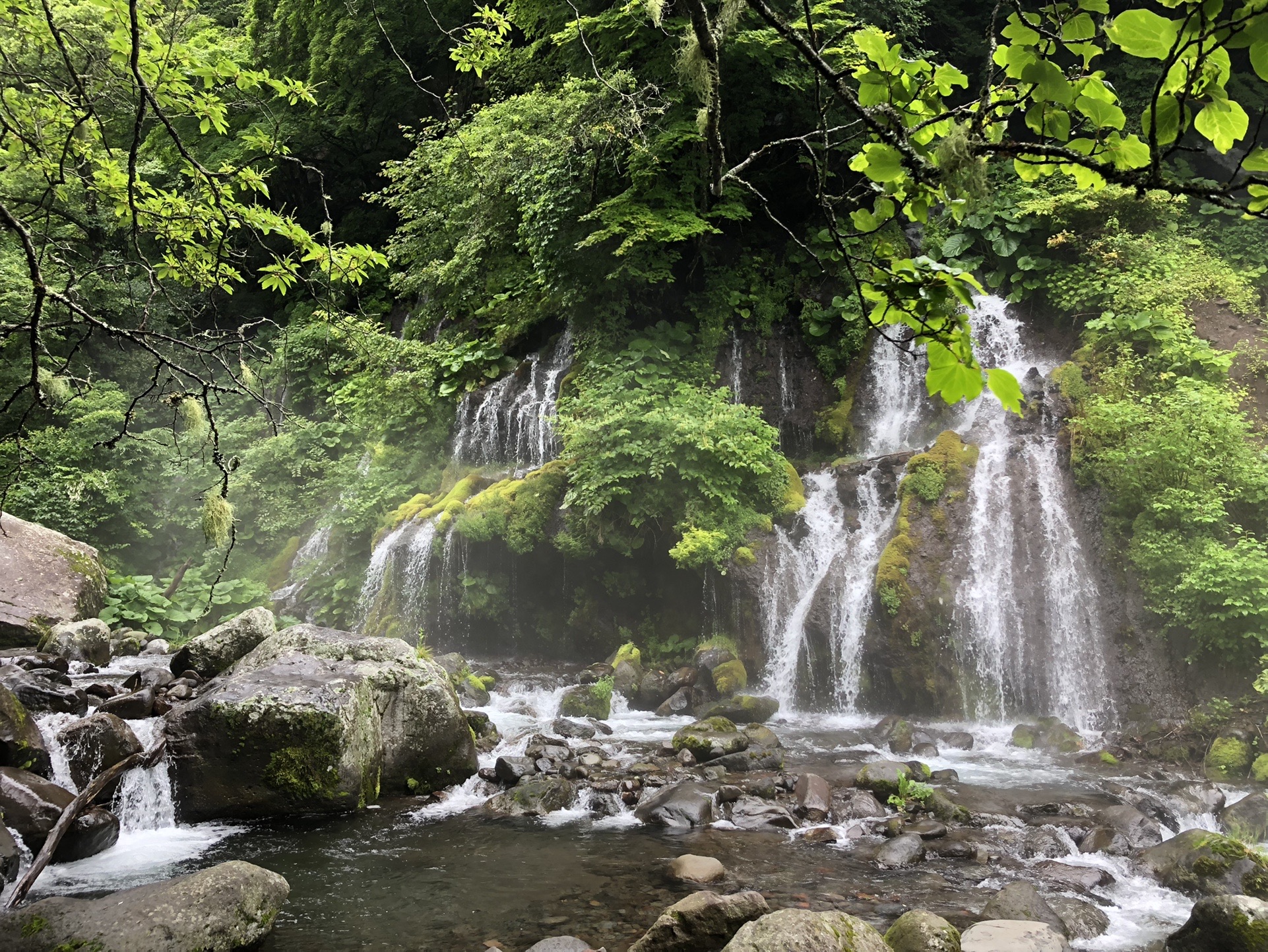 清泉寮自然歩道 吐竜の滝 Zozomiさんの八ヶ岳 赤岳 硫黄岳 天狗岳 の活動データ Yamap ヤマップ