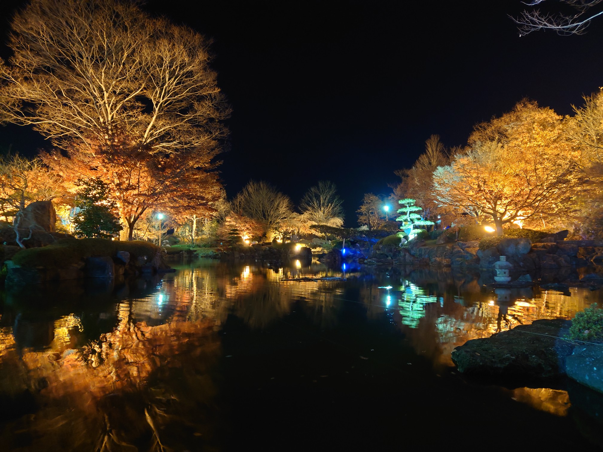 娘と写活 夜の部 ライトアップの桜山公 マロンくんさんのモーメント Yamap ヤマップ