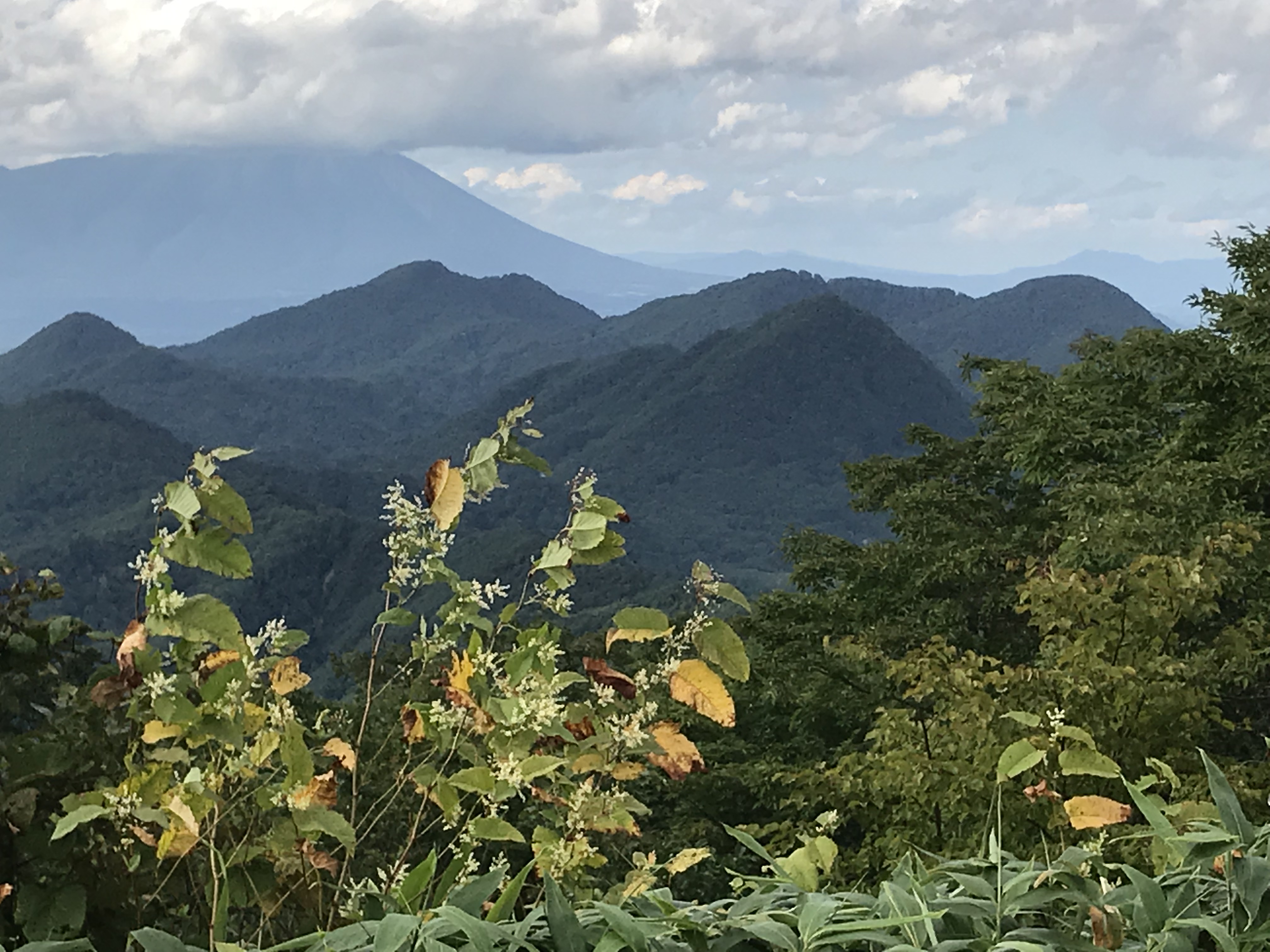 志和三山縦走（猪去林道・ラフランス温泉館） / GONさんの南昌山・東根 