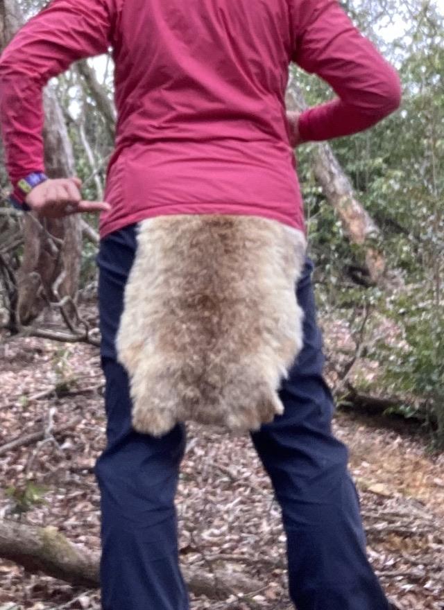 本革 裏地付カーフレザー 狸 尻あて尻皮 たぬき毛皮敷物 登山 スキー