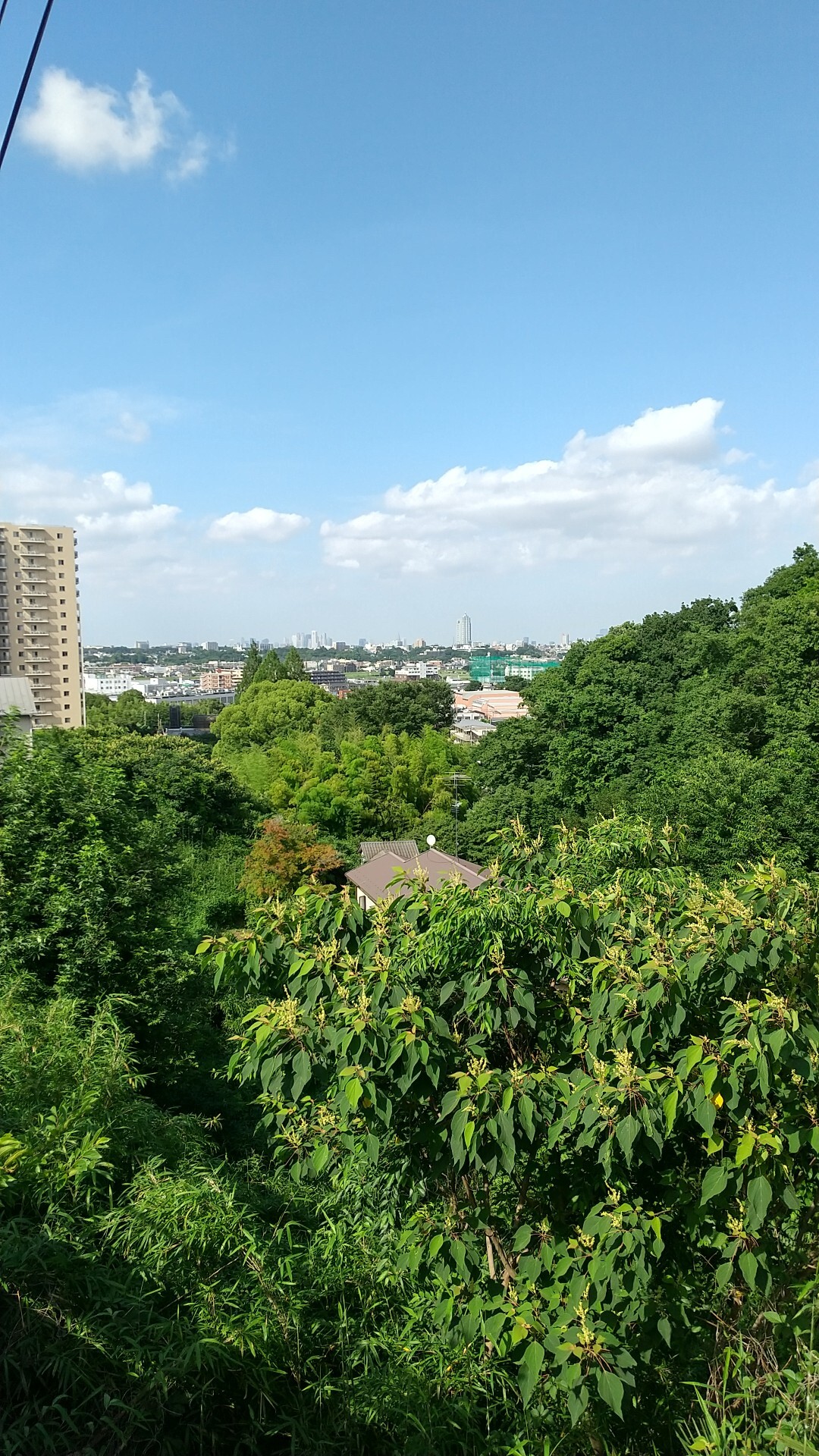 平瀬川 / 川崎市の写真41枚目 YAMAP / ヤマップ