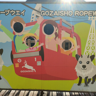 カモシカ会わず🥴