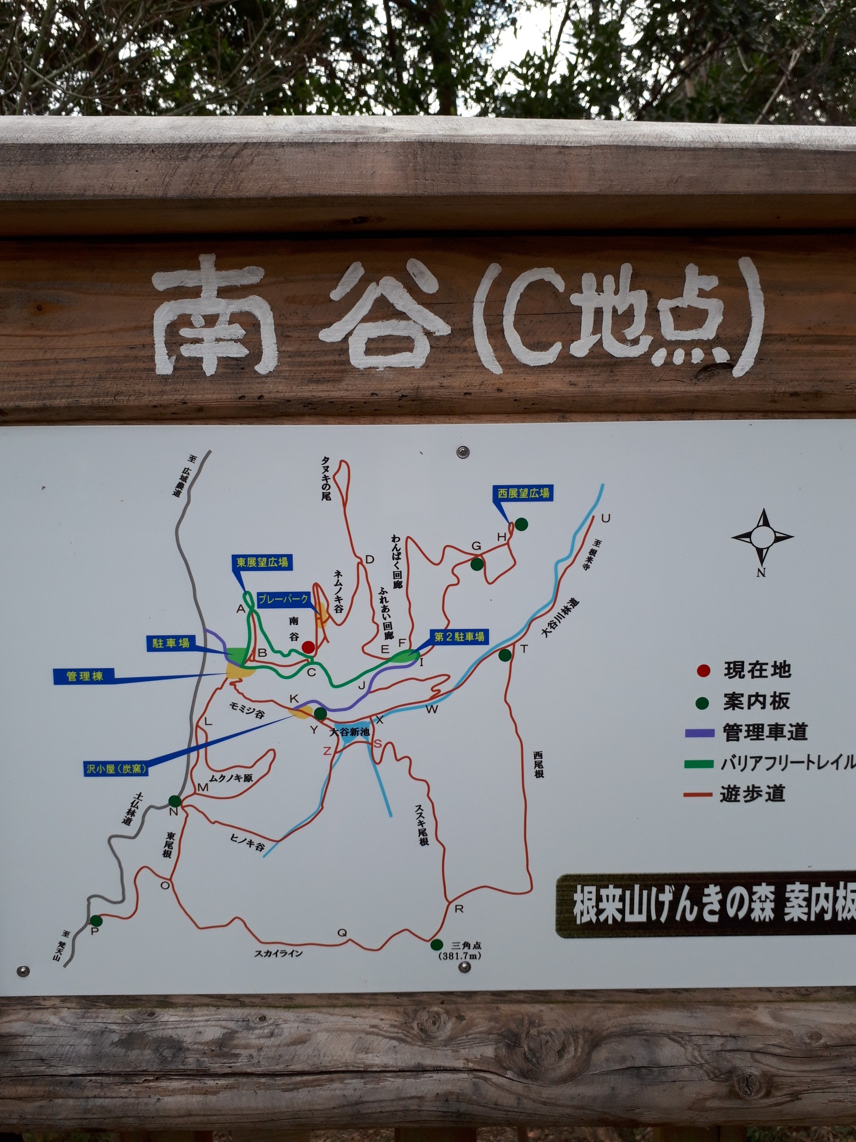 トレラン初心者 根来山げんきの森 Yasuminさんの紀泉アルプス 飯盛山 ボンデン山の活動データ Yamap ヤマップ