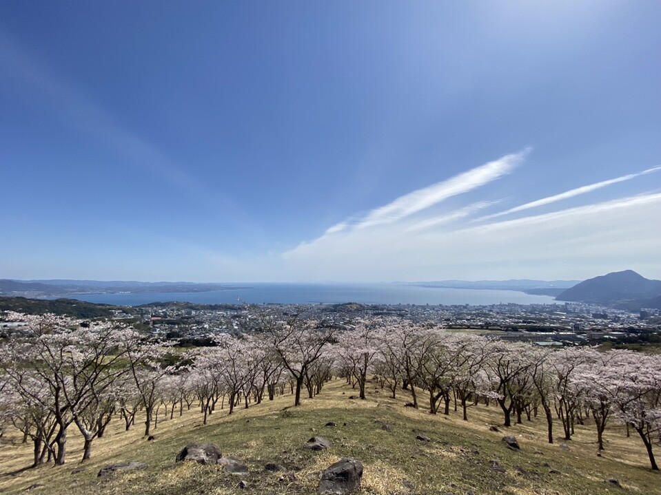 扇山 往復コースの地図・登山ルート・登山口情報 | YAMAP / ヤマップ