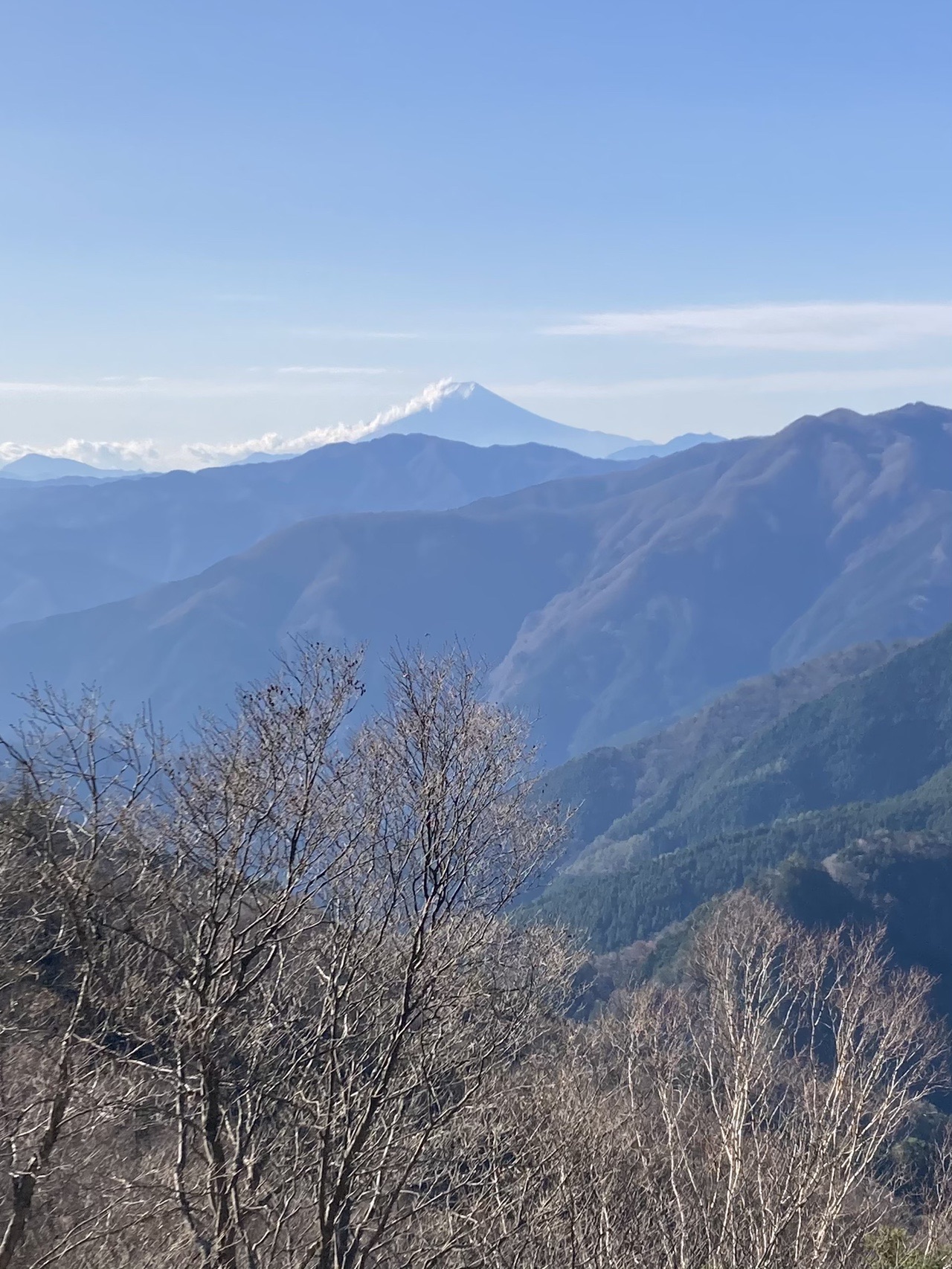 136 熊蟄穴 冬晴れの奥多摩 16座縦走 のぼりたいさんの雲取山 鷹ノ巣山 七ツ石山の活動日記 Yamap ヤマップ