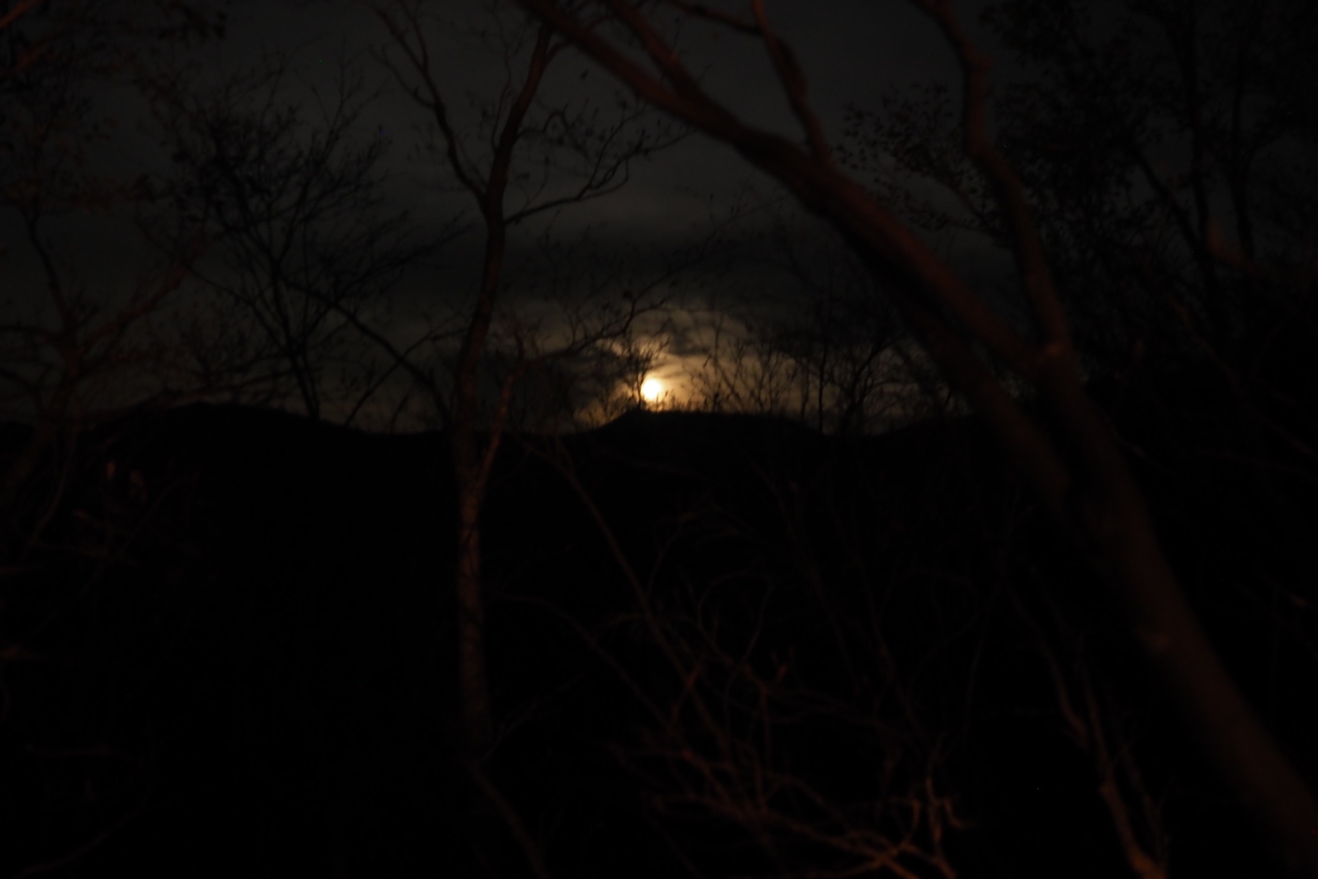 木六山・銀次郎山 なんだ❗