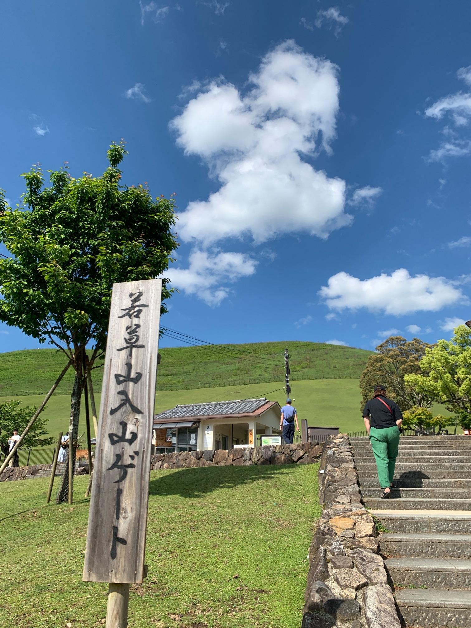 若草山様 専用 （ANDO HOTEL 奈良若草山（DLIGHT