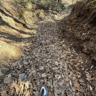 落ち葉ゾーン🍂
石があって気をつけて