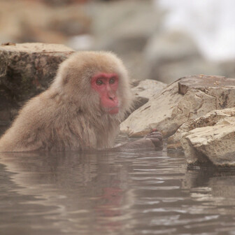 syn@二上山360マップPRJ