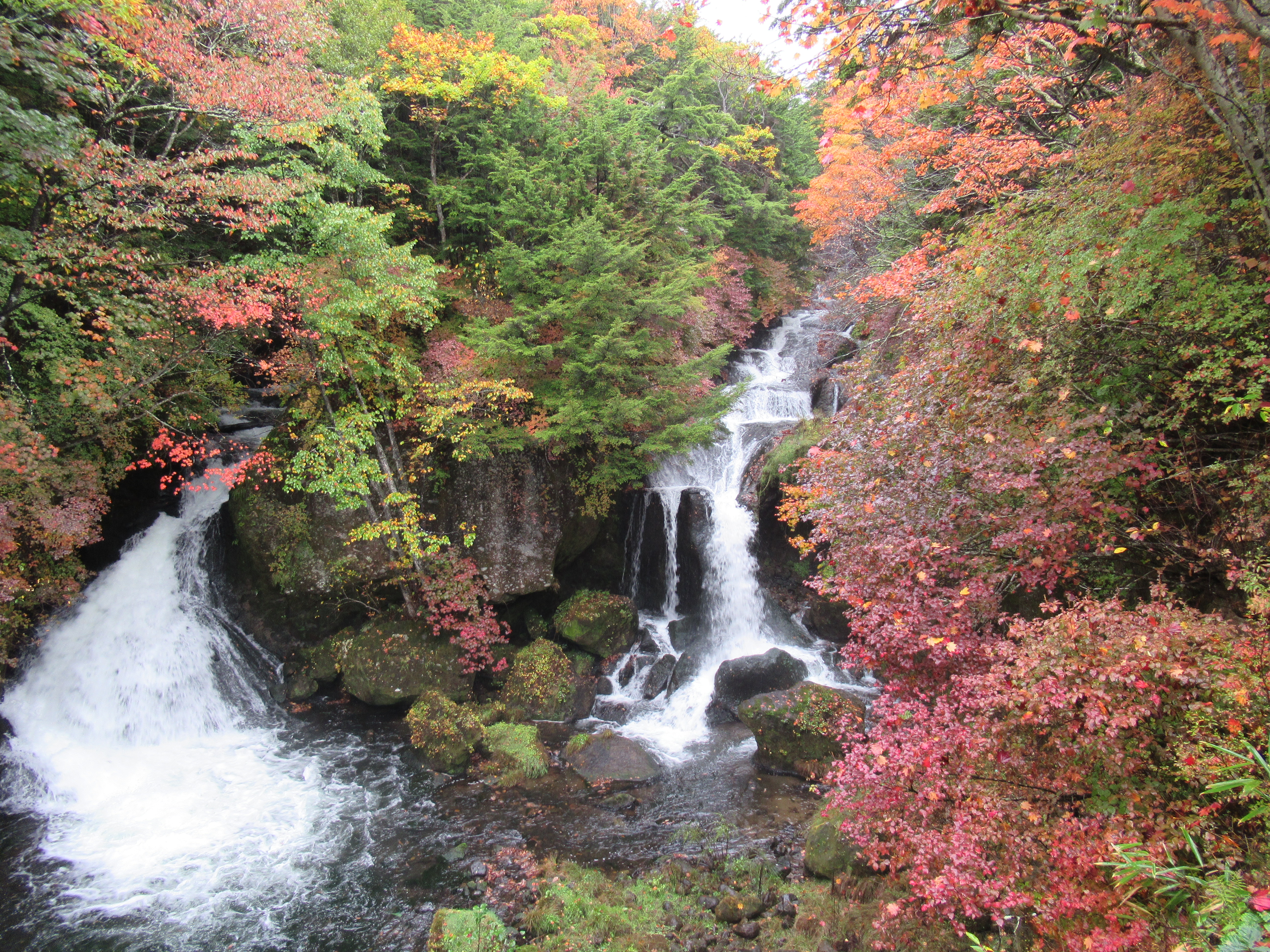 奥日光 竜頭の滝から戦場ヶ原 湯の湖 Yamanomajoさんの日光白根山 五色山 錫ヶ岳の活動データ Yamap ヤマップ