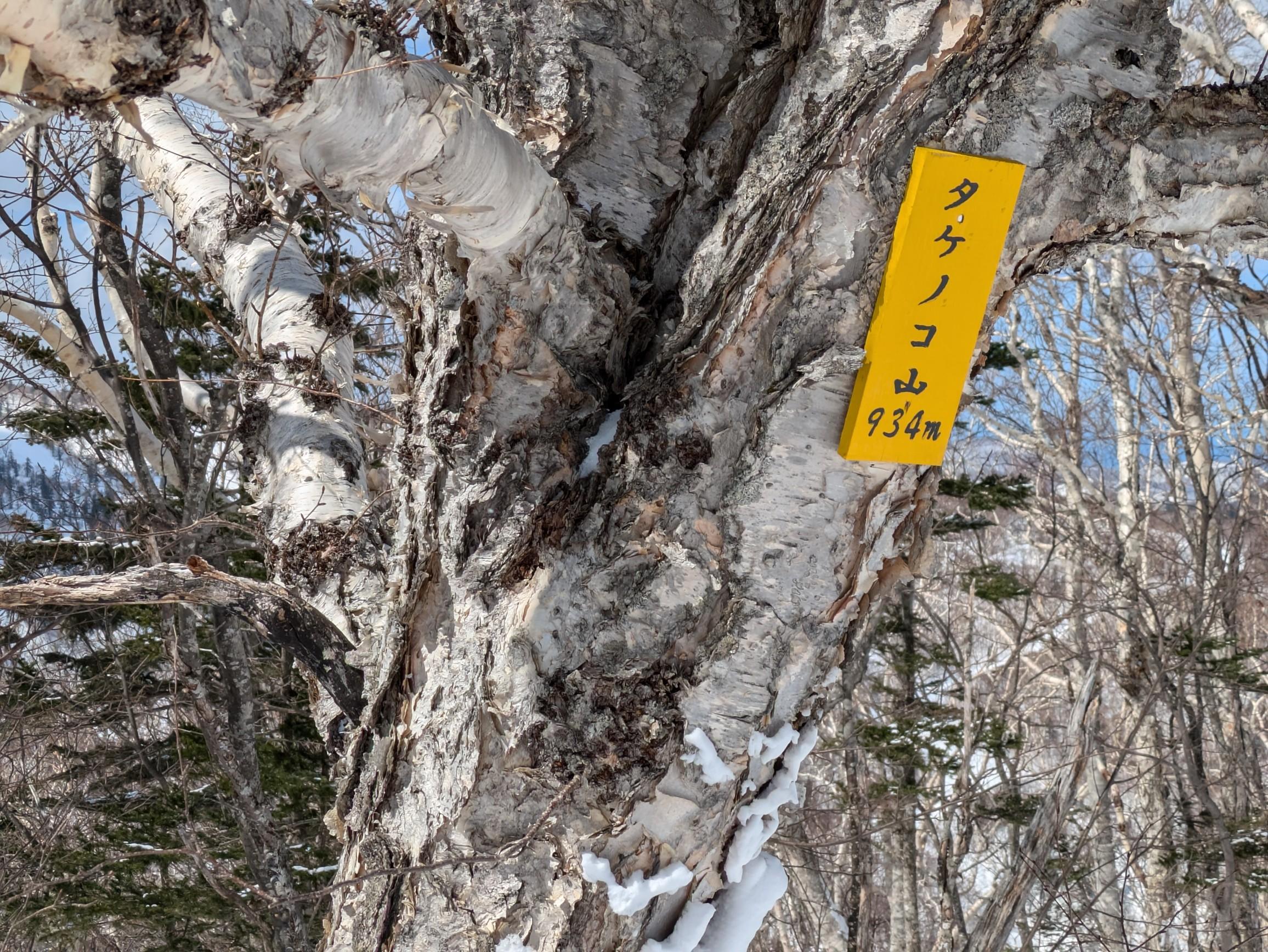 タケノコ山（北海道） | YAMAP / ヤマップ