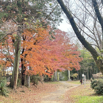ゆる〜く登れるのに紅葉穴場だったかも😊
山友さんのおかげで観光<お山、な楽しくて癒しの1日になりました。どうもありがとう♡ 

群馬にはまだまだ素敵なお山があちこちにあるみたいなのでもっと歩ける様になって開拓できたらいいなぁ♪

