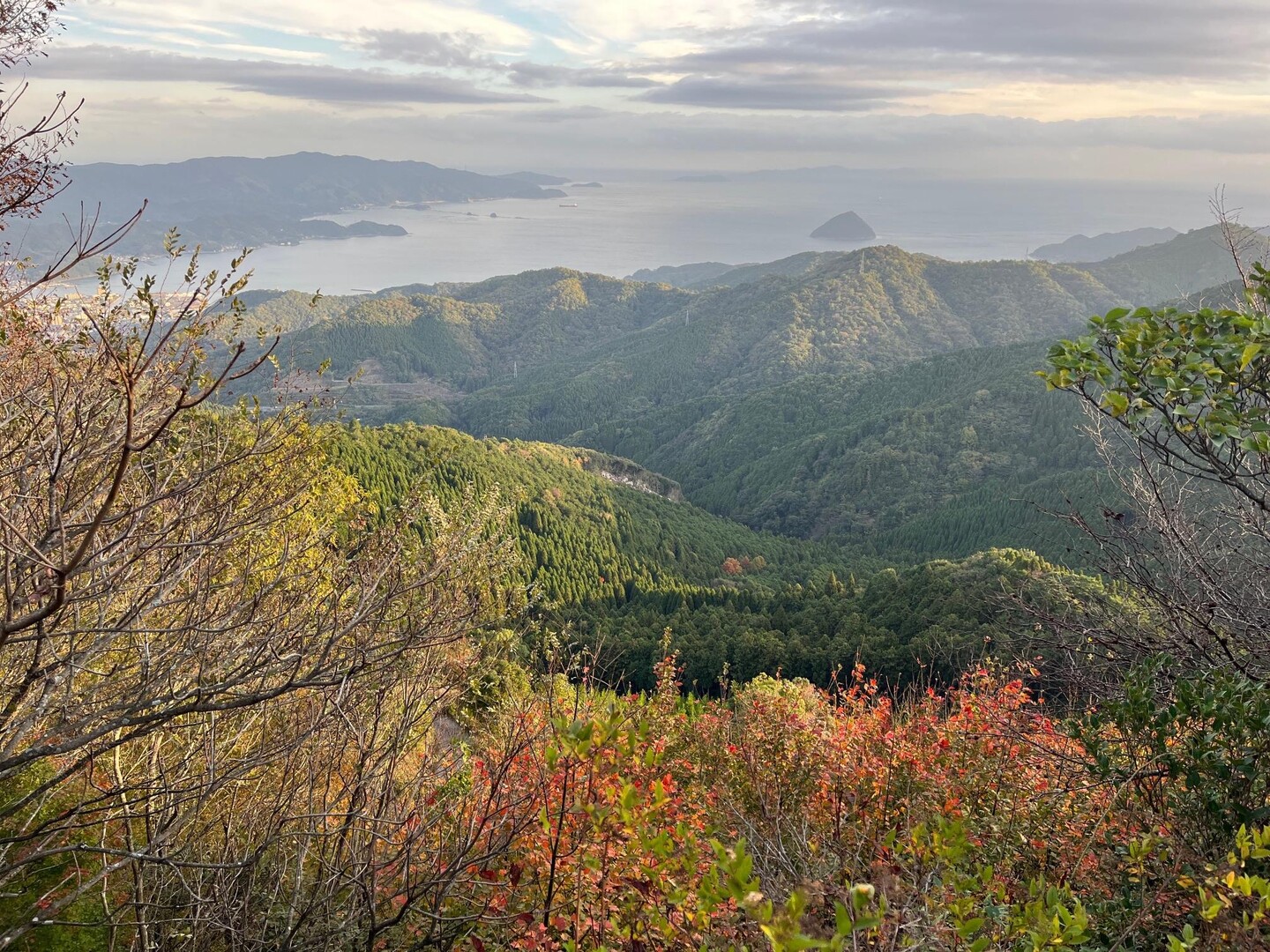 鎮南山・塔尾 / SHINさんの鎮南山の活動データ YAMAP / ヤマップ