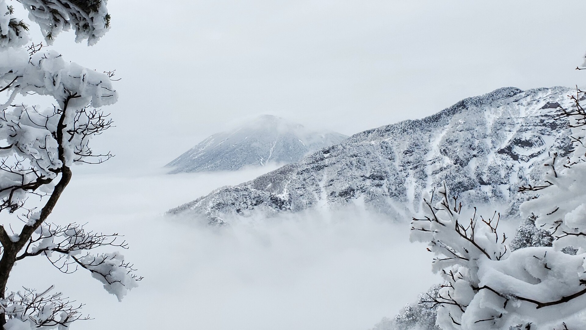 水墨画 赤薙山 幻想的な雲海に出会う 湯気レンジャーさんの女峰山 赤薙山 大真名子山の活動日記 Yamap ヤマップ