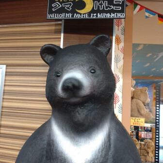 くまきちくんとこぐちゃん