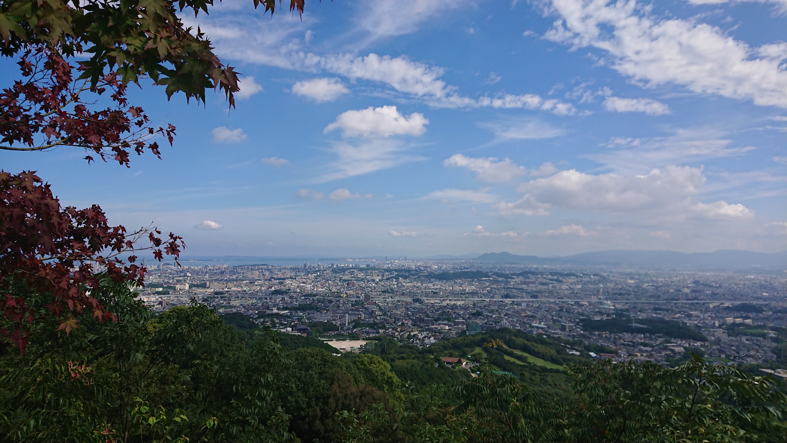 秋近し 実りを求めて 油山 19 08 31 おばたかさんの油山 荒平山 片縄山の活動日記 Yamap ヤマップ