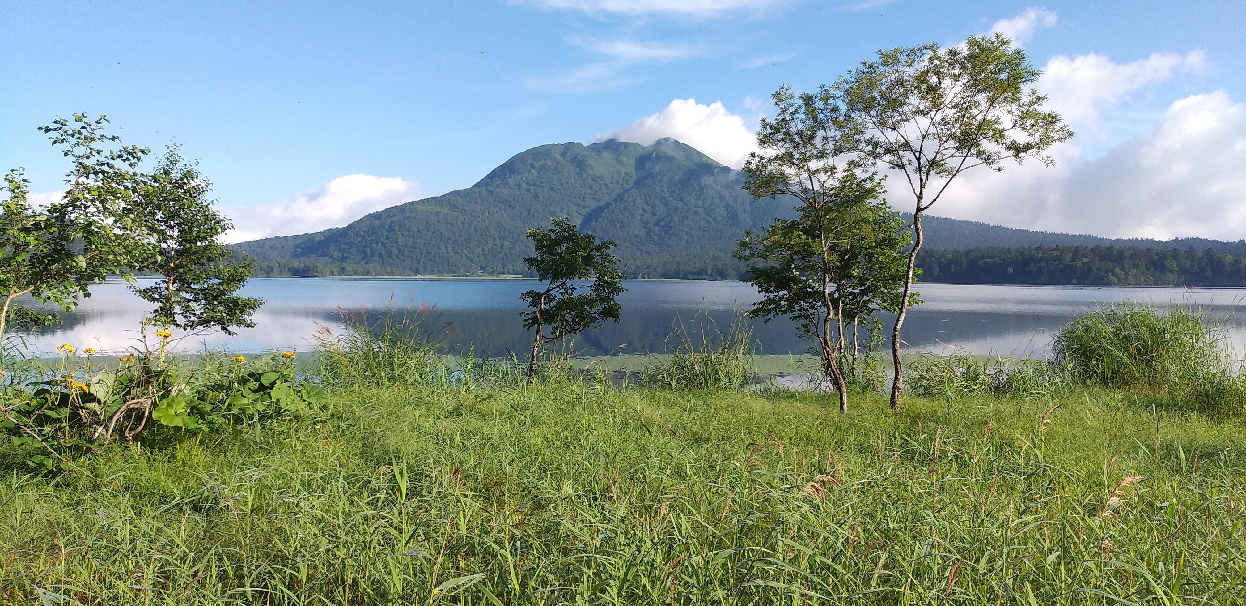 大清水登山口から尾瀬沼 燧ヶ岳ピストン あっちとこっちさんの尾瀬 燧ヶ岳の活動データ Yamap ヤマップ