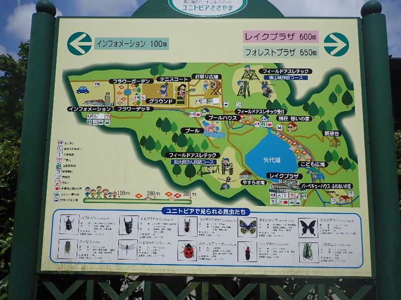 ユニトピアささやまから盃ヶ岳 法連坊山を周回 アイチャコさんの御嶽 三嶽 小金ヶ嶽 西ヶ嶽の活動データ Yamap ヤマップ