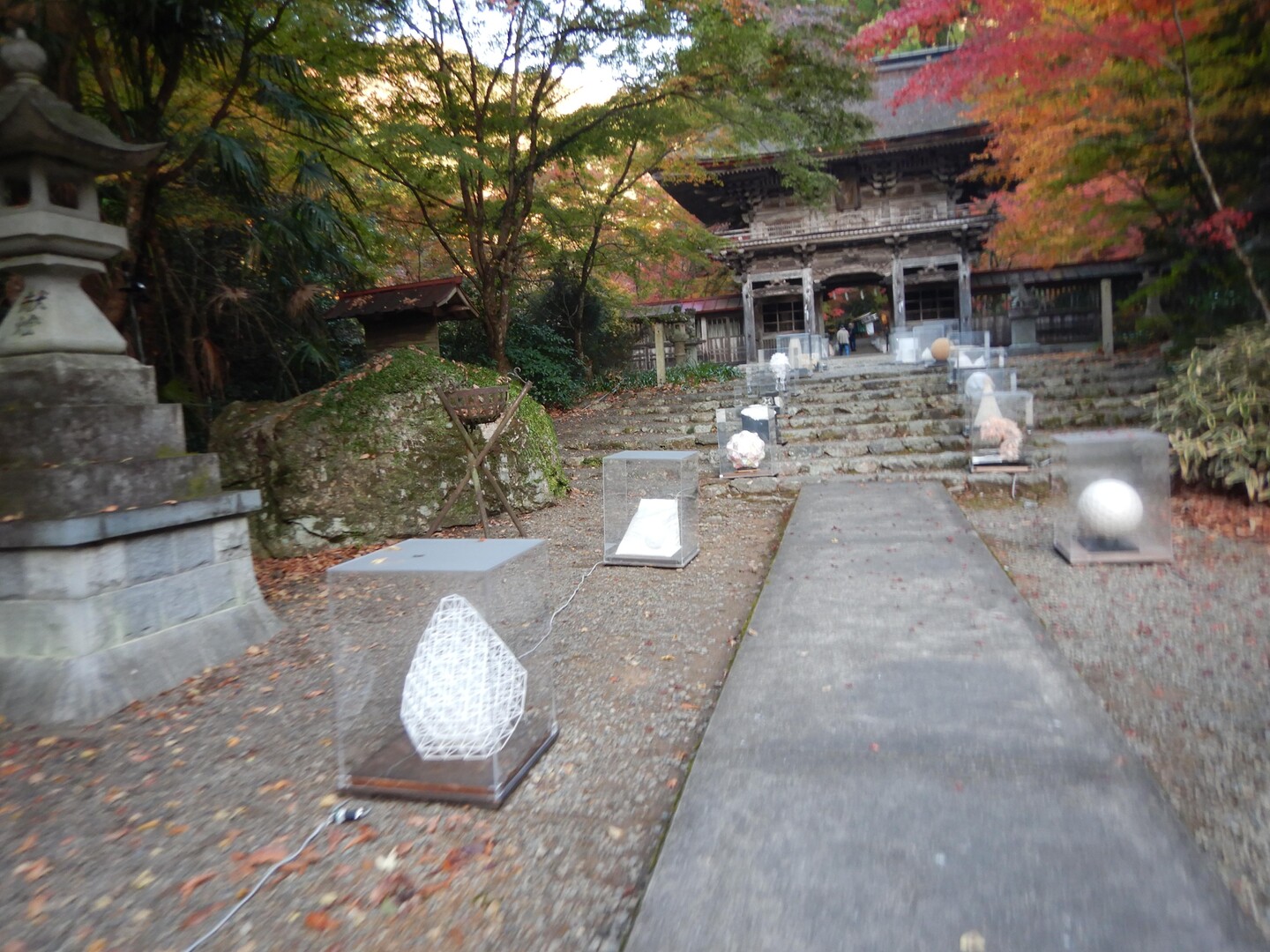 大矢田もみじ谷 大矢田神社一帯の楓谷は、... / m yokoさんのモーメント YAMAP / ヤマップ