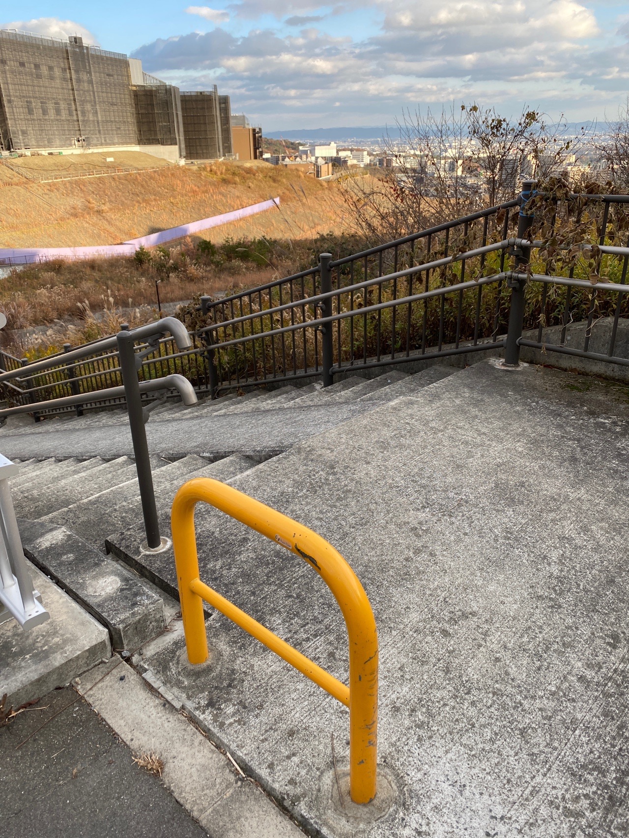 彩都なないろ公園北駐車場より 謎の道 その２ 登れたけど降りられないかも Nisiさんの竜王山 阿武山の活動日記 Yamap ヤマップ