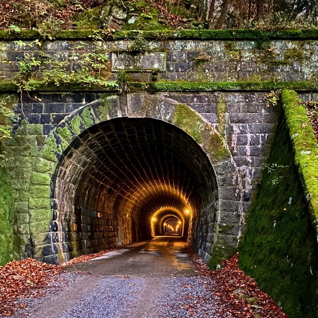 天城山 天城隧道を見に天城山越え 百名山 静岡県伊東 年12 月 猫のタイ と 山のこと