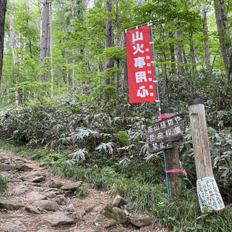 これより林道