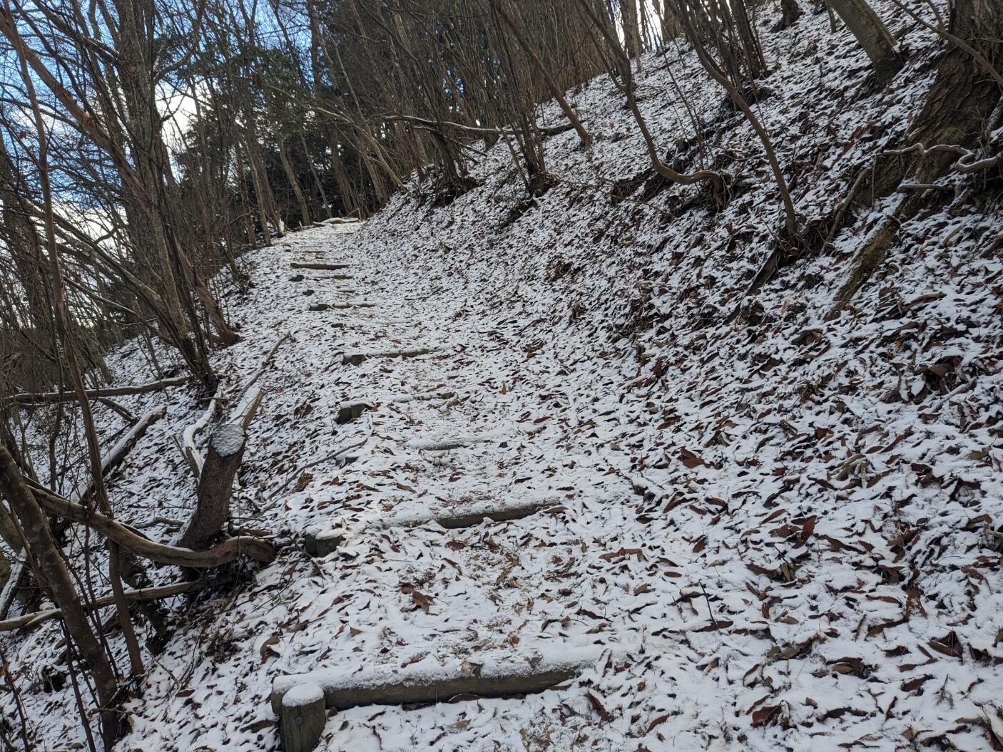 大川山 / higeorangeさんの竜王山（讃岐山脈）・大川山の活動データ YAMAP / ヤマップ