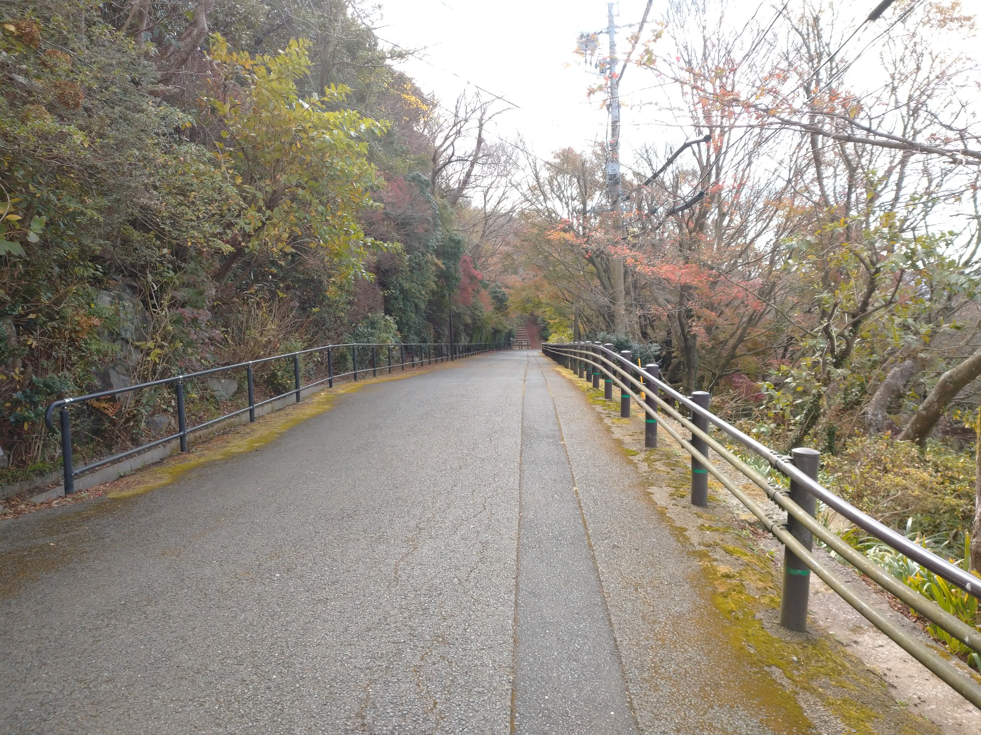 皿倉紅葉ピーク もう 過ぎてる Abuさんの皿倉山 花尾山 帆柱山の活動データ Yamap ヤマップ