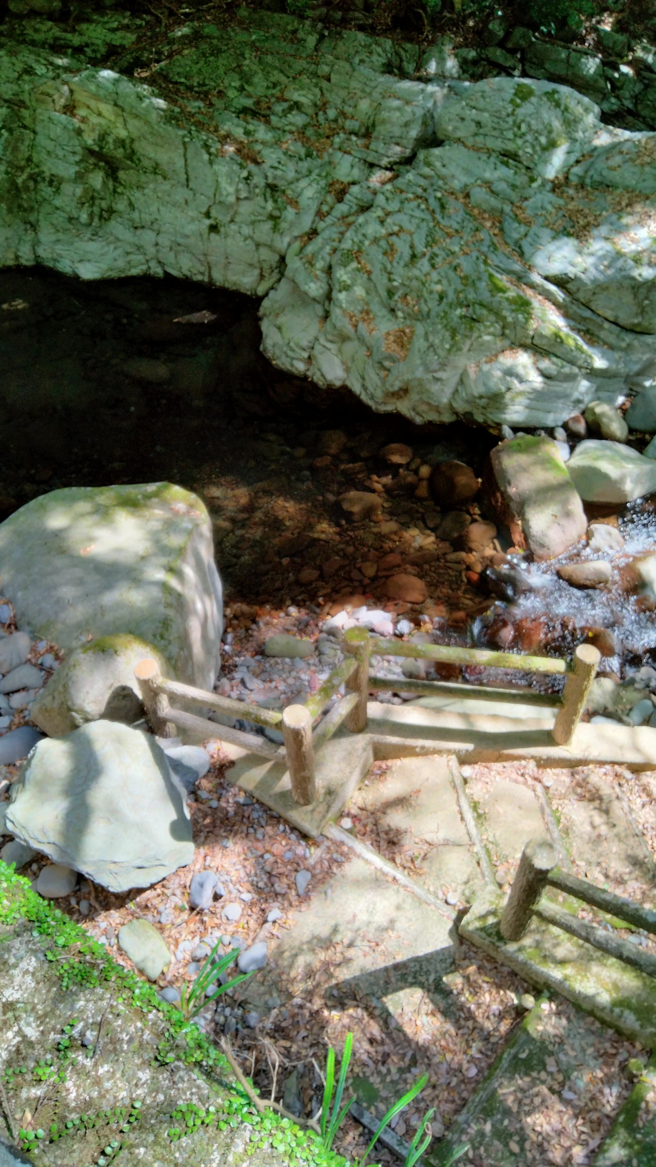 こんなんじゃ傾山 は無理 たか 孤高のソロッパー さんの登山の活動日記 Yamap ヤマップ