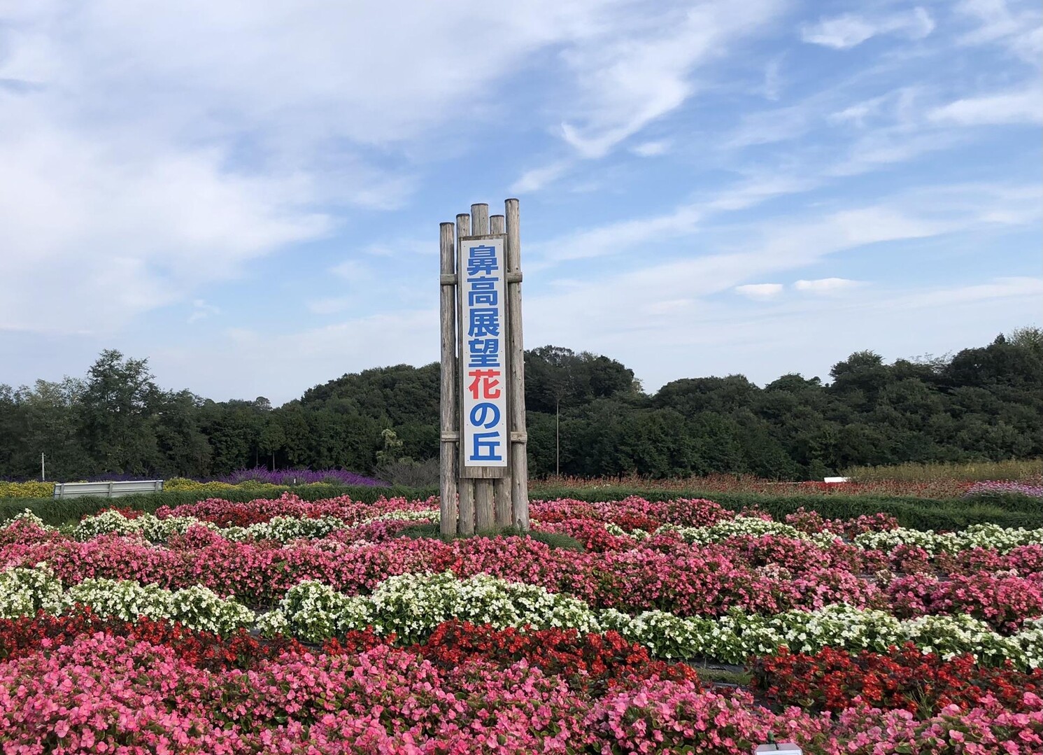 10/23 高崎市の鼻高展望花の丘へ。 ... / ねじばなさんのモーメント | YAMAP / ヤマップ