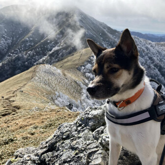 いのと岳（がく）