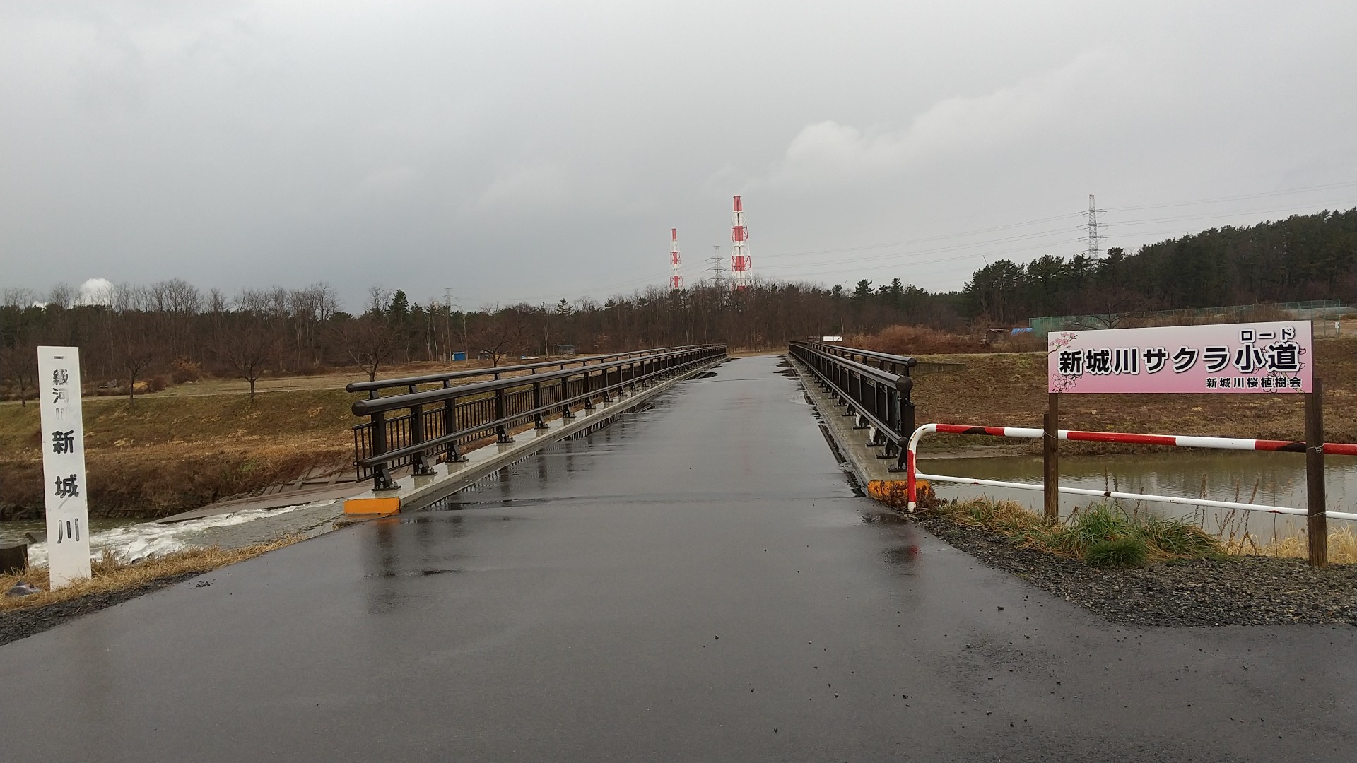 新城川サクラ小道 03 05 白猫さんの秋田市の活動データ Yamap ヤマップ