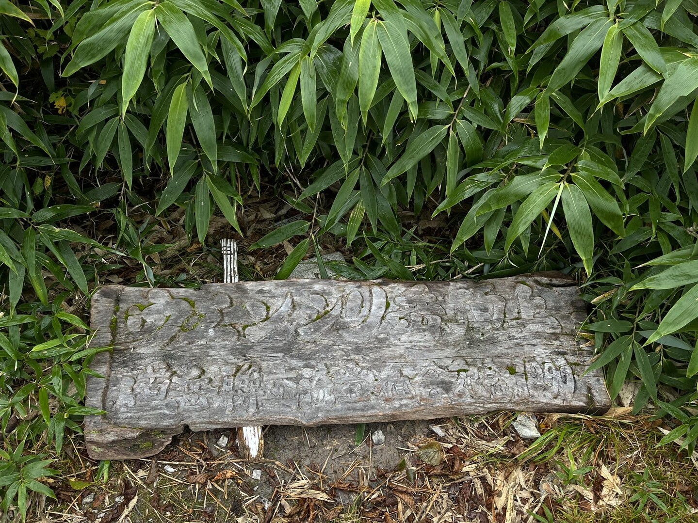 ウェンシリ岳⛰️ / ヨッシーさんのウエンシリ岳の活動データ YAMAP / ヤマップ