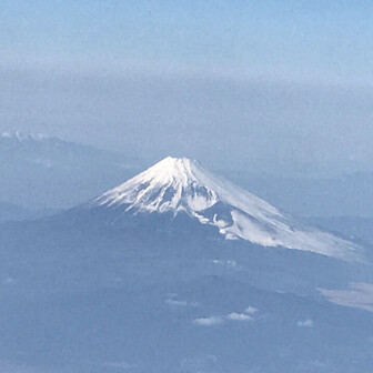 気まぐれ猫