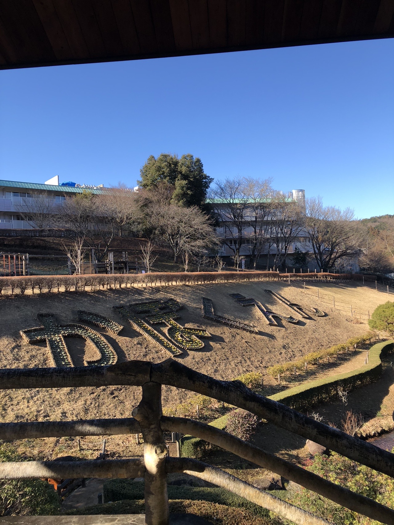 霞丘陵 ちゃこふさんの青梅市の活動日記 Yamap ヤマップ