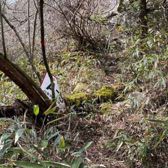 六甲山・長峰山・摩耶山 A-9