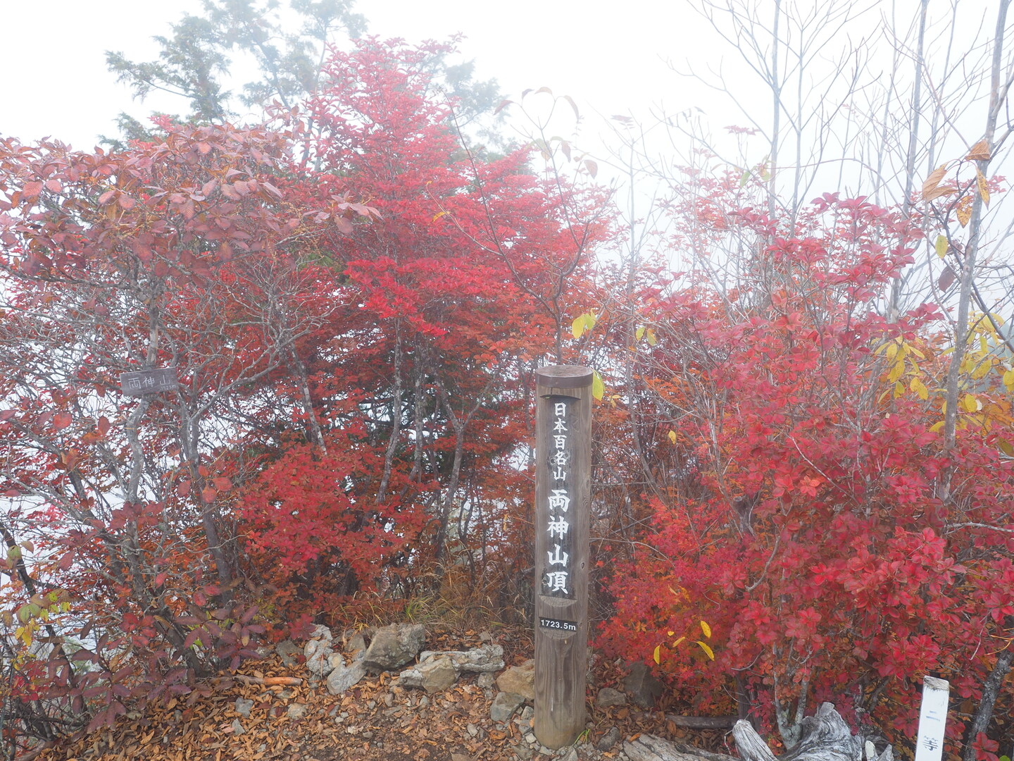 両神山 天武将尾根天理岳 日向大谷から周回 にゃんしさんの両神山・諏訪山・二子山の活動データ Yamap ヤマップ 
