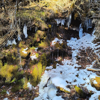 背中ギクッの白樺湖② 蓼科山 / ツジボウイさんの蓼科山・横岳・縞枯山