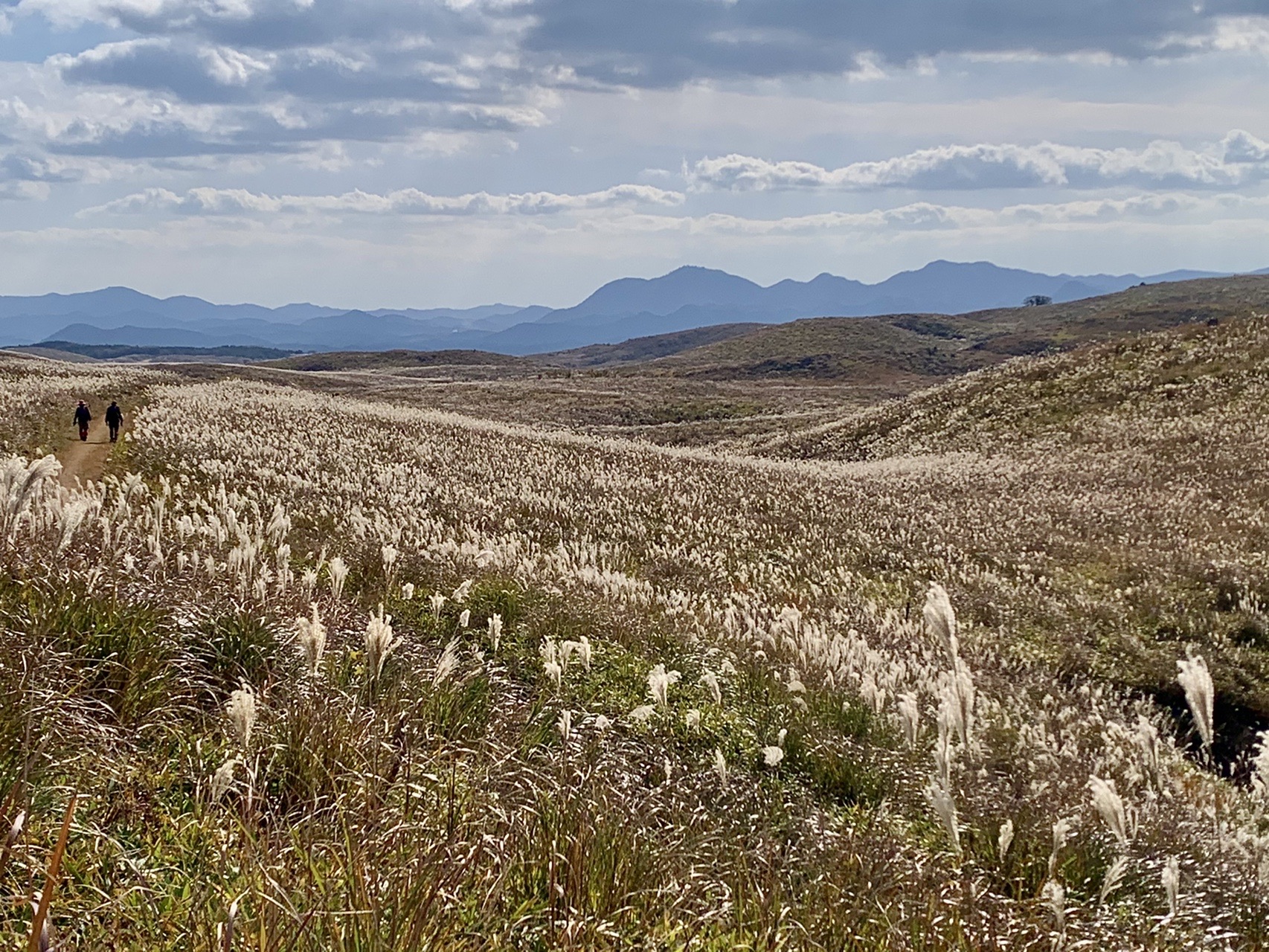 秋吉台トレッキング ともさんの秋吉台の活動データ Yamap ヤマップ