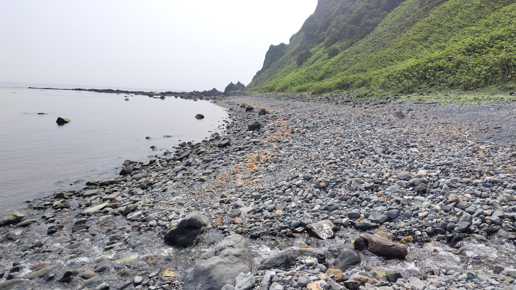 赤岩のアカイワ川で休んでたら、カメラマンを乗せた漁船が近づいてきて、私たちが先ほど通った場所にカメラをむけてるので「なんだろう？」と振り向いたら、熊がいた！　距離は20～30mほど。人間には関心がなく、石の下のエサを探しておりました。