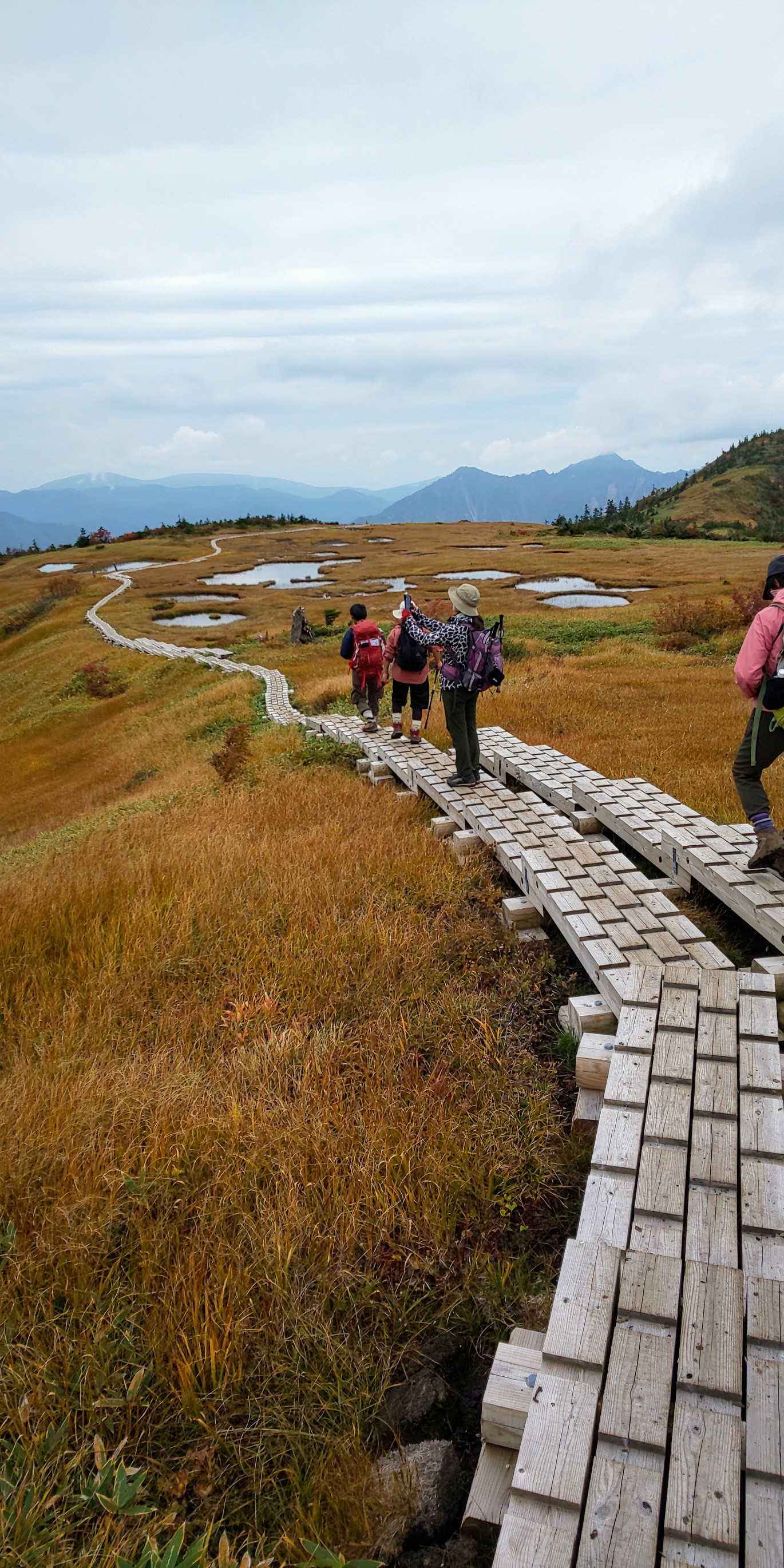 三合目からの登山で得した苗場山 With の会11名 10 4 よっしーさん さんの苗場山 赤倉山 佐武流山の活動データ Yamap ヤマップ