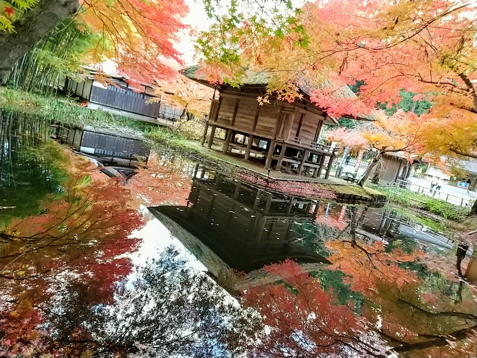 金鶏山(世界遺産平泉)-2020-11-11 / savaさんの一関市・平泉町の活動日記 | YAMAP / ヤマップ