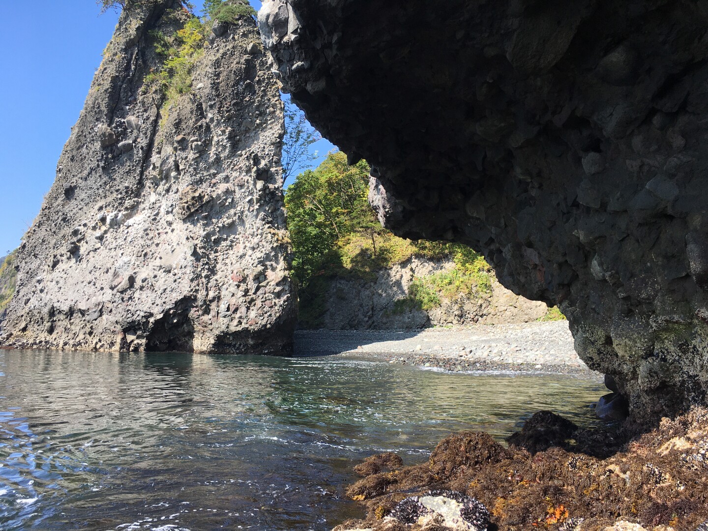 礼文華峠再び（小幌駅～文太郎浜～岩屋観音）-2019-09-28 / クオッカさんの礼文華峠の活動データ | YAMAP / ヤマップ