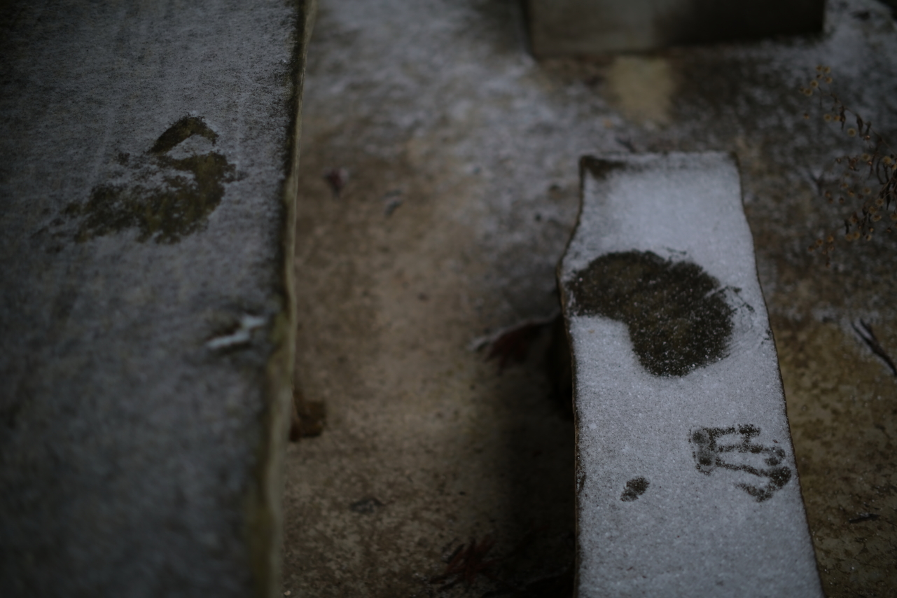 フタツアイまで粉雪の道 19 12 15 矢口氷依さんの男鹿半島の活動日記 Yamap ヤマップ